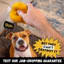 Indestructible Dog Ball - Lifetime Replacement - Durable Dog Toy for Aggressive Chewers - Safe, Non-Toxic Natural Rubber - Chew, Tug & Fetch - Tough, Heavy Duty Chew Toy - 4 (Softball Size)