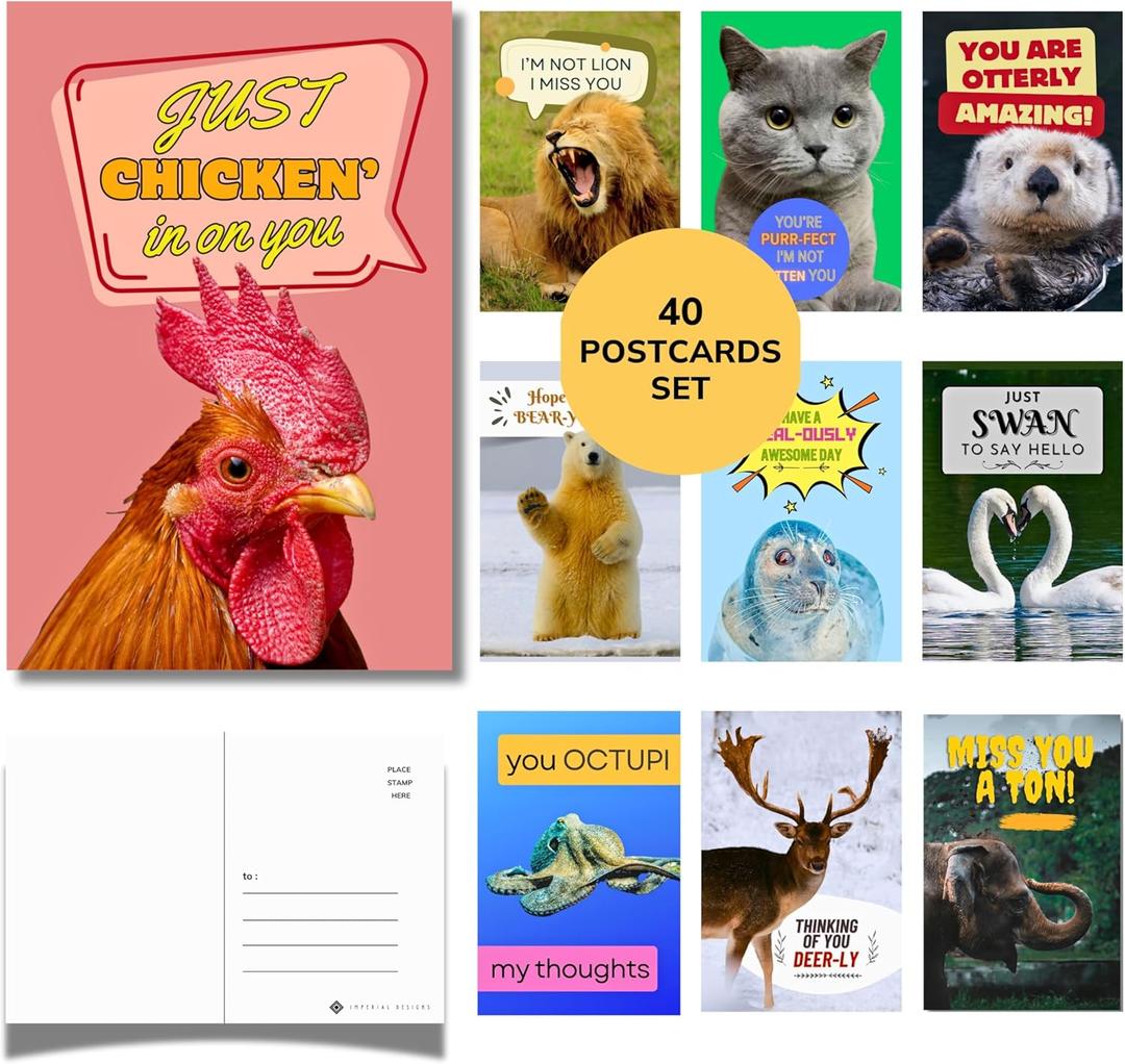 Imperial Designs 40 Pack Funny Punny POSTCARDS (4"x6") - Say I Miss You, Hello, Thank You, Thinking of You with a Fun Animal Pun by Mail - Bulk Postcards for Parents, Grandparents, Summer Camp