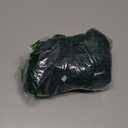 Womens Long Sleeve Tops Crew Neck T Shirts for Women Tunic Tops with Thumb Holes Fall Outfits for Women 2025 (Small, Green)