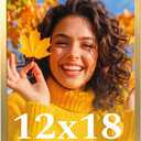 12x18 Picture Frame for Wall Display, 12x18 Gold Picture Frame with Shatter Resistant Plexiglass, Stable and Sturdy 12 x 18 Poster Frame for Wall Display, Handpicked Gift Collection, 1 Pack