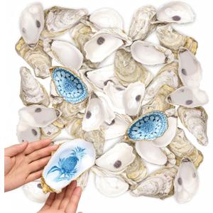 36PCS Natural Large Oyster Shells 5"-6" Bulk Oyster Shells for Crafts, Home Decor, Vase Fillers, Beach Wedding Decorations, Ocean-Themed Art Projects (5-6 inch)