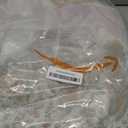 Indian Mix Lot Whole Sale Tribal Kantha Quilts Vintage Cotton Bed Cover Throw Old Assorted Patches Made Rally Vintage Assorted (Pack of 3)