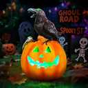 Halloween Pumpkin Solar LED Light Outdoor Solar Powered Garde Decorative Light IP44 Waterproof for Outdoor Home Decor & Halloween Party Decorations-Spider