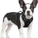 rabbitgoo Dog Harness No Pull with 2 Leash Clips, Adjustable Soft Padded, Reflective Oxford No Choke Pet Vest with Easy Control Handle for Small Dogs, Black, S