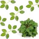 50 Pcs Artificial Green Leaves, Greenery Faux Silk Fake Rose Flower Leaves for DIY Wedding Birthday Party Bridal Bouquets Centerpieces Home Decorations