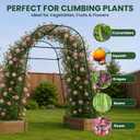 Heavy Duty Garden Arch Trellis for Climbing Plants, 20mm Thick Rustproof Metal Frame, Easy Assembly No Tools, 7.2ft Tall Vine Support with Netting & Gloves for Cucumbers Beans Roses