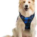 rabbitgoo Dog Harness No Pull with 2 Leash Clips, Adjustable Soft Padded, Reflective Oxford No Choke Pet Vest with Easy Control Handle for Medium Sized Dogs, Blue Plaid, M
