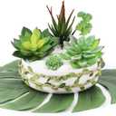 Supla 5 Pcs Assorted Artificial Succulents Plants Unpotted Small Green Cactus Echeveria Picks Fake Succulents Bulk for Succulent Garden Centerpiece Wreath Floral Arrangement Indoor Outdoor Home Dcor