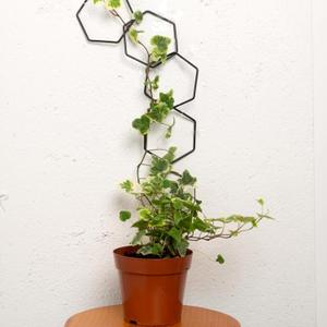 17PCSMetal Hanging Trellis for Pothos Plant Climbing Support | Vine Wall Lattice for Indoor and Outdoor Garden | House Accessories for Climbing Plants | Small Metal Trellis for Lattice Support (Hexagon Chain Trellis)