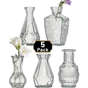 Glass Bud Vase Set of 5 Pcs Small Minimalist Vases for Flowers, Vintage Rustic Home Decor for Table Centerpiece Wedding Party, Modern Clear Aromatherapy Bottle for Living Room Bedroom