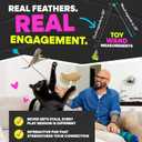 Jackson Galaxy Gotcha! Cat Wand Toy - Retractable Cat Toy for Engaging Play - Telescoping Wand with Natural Feathers for Indoor Cats - Foundational Tool for Cat Wellness and Interactive Bonding Play