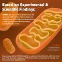 3 x NAD Supplement, Liposomal NAD+ Nicotinamide Riboside with Resveratrol  Supports Healthy Aging & Cellular Energy, Highest Absorption NAD Plus for Women, 60 Capsules