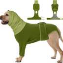FUAMEY Dog Onesie for Surgery, Surgical Suit for Dogs Female Spay, Cone of Shame Alternative for Dogs, Turtle Neck Body Suit, No Lick Neutering Recovery for Male Doggie, Bull Terrier (Green, L) 
