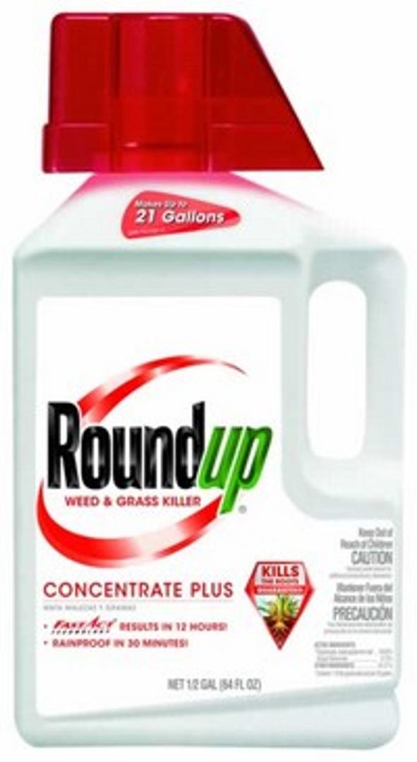 Roundup® Weed & Grass Killer Concentrate -6,300 sq. ft.