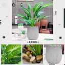 Der Rose 16'' Fake Plants Artificial Potted Greenery Faux Plants for Office Desk Home Bathroom Decor