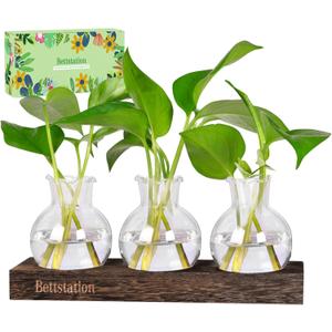 Plant Propagation Station, Plants Terrarium with Wooden Stand Bulb Glass Vase Planter Gift for Plant Lovers Home Office Decor