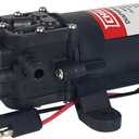 Chapin International 6-9206 12V 1.0 GPM Standard Diaphragm Pump, Black