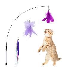 Cat Toy