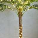 Hairui Artificial Palm Tree with 220 LED Fairy Lights, 6FT for Indoor Outdoor Office Home Patio Pool Decoration