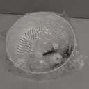 Silent Hamster Wheel, Hamster Exercise Wheel with Adjustable Acrylic Stand, Hamster Exercise Wheel for Gerbil, Syrian & Dwarf, Chinchilla and More Small Animal Hamster Running Wheels (8.2 in)