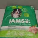 IAMS Proactive Health Adult Minichunks Premium Dry Dog Food, Adult Dog Food Dry Recipe, 30 lb. Bag, Best By 12/21/26