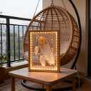 Shadow Box Frame with Lights 10'' 8 '' Memory Boxes Keepsakes Display Case Dried Flower 3D Deep Picture Frame Memorial Gifts Memorabilia Medal Wedding Travel Baby Items (Wood Color)