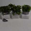 Winlyn 3-Pack Artificial Potted Plants - Faux Eucalyptus, Rosemary, Boxwood Greenery in Small Black & White Geometric Concrete Pots -Desk, Table, Shelf, Windowsill Decor for Indoor Outdoor Home Office
