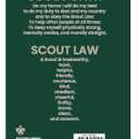 Scouts BSA Handbook, 14th Edition - Boys (Official Handbooks Boy Scouts of America Book 9)