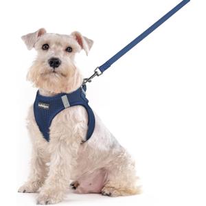 rabbitgoo Dog Harness Small Sized and Leash Set, Step in Soft Light Puppy Vest, Breathable Mesh Pet Harness, Reflective for Outdoor Safe Walking, Navy Blue XXL