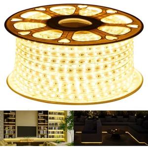 GUOTONG 110V Led Strip Light Led Rope Lights Outdoor Indoor Use 3000K Warm White Waterproof Flexible Cuttable Connectable 131.2ft 40m 110V 2 Wire Ideal for Backyards Christmas Decorative Lighting