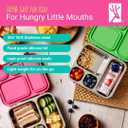 Elk and Friends Kids Stainless Steel Bento Box with Silicone Lid | Leak-proof | Toddler Lunch Container | 4 Compartments | Dishwasher Safe, Medium