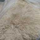 Fluffy Rug Shag Area Rug, Beige 5x8 Area Rugs for Bedroom, Small Bedside Rug, Soft Fluffy Shag Entryway Throw Rugs for Living Room Bedroom Kids Room Home Decor