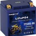 Lithium YTX30L-BS, 850A LiFePO4 Motorcycle Battery, 12V 12AH ATV, UTV, Jet Ski, 4 Wheeler, Snowmobile, Personal Watercraft, Seadoo, Polaris, Tractor,Generator and Riding Lawn Mower Battery