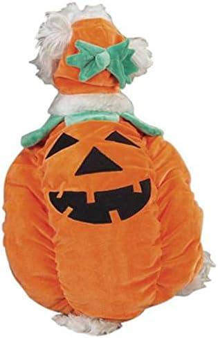 Amazon.com : Zack & Zoey Pumpkin Pooch Costume, Medium Orange : Pet Costumes : Pet Supplies