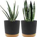 QCQHDU 8 inch Plant Pot, 2 Pack Planters for Indoor Plants with Drainage Holes & Saucer, Outdoor Flower Pots Home Garden Modern Decor (Dark Grey)