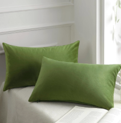 Pack of 2 Velvet Decorative Throw Decorative Pillow Cover Soft Solid Square Xmas Cushion Case for Couch Green 12 x 20 inches