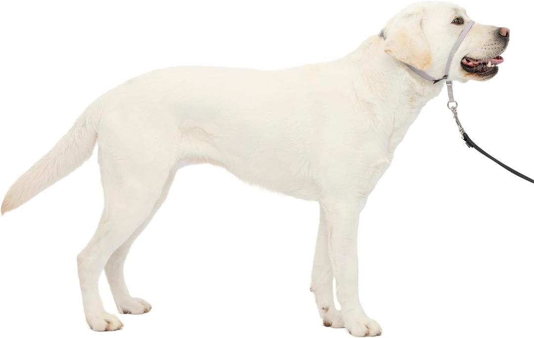 PetSafe Gentle Leader Headcollar - No-Pull Dog Collar for Better Walks - Adjustable for Snout-Specific Fit - Comfortable Head Harness - Large - Silver (1 Count (Pack of 1))
