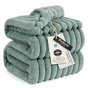 Bedsure GentleSoft Blankets Queen Size for Bed - Cozy Soft Blankets for Women, Cute Large Fleece Throws for Girls, Sage Green, 50x60 Inches