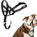 Halti Headcollar - Stop Your Dog Pulling on the Leash. Adjustable, Reflective and Lightweight, with Padded Nose Band. Dog Training Anti-Pull Collar for Medium Dogs (Size 2, Black)