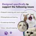PrimalCat Immune & Eye Support Chews for Cats, Daily Wellness Soft Chews with L-Lysine, Taurine, Beta-Glucan & Colostrum, Supports Healthy Eyes and Immune Function, 90 Count(1pc)