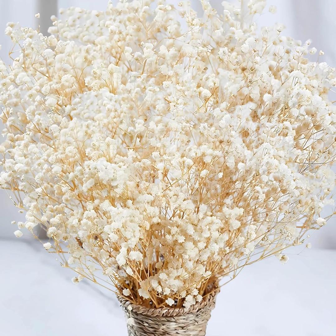 2000+ Dried Babys Breath Flowers Bulk - 17" Ivory White Dried Flower Bouquet, Real Natural Gypsophila Branches for Vase Filler, Wedding, Table Centerpiece, Home Decor, DIY Wreath Floral, Crafts