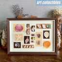 Natural Mixed Beach Seashells and Starfish Kit, Various Sizes Ocean Conch Shells for Beach Theme Party, Home Decor, Fish Tank Aquarium, Wedding Decor & DIY Crafts