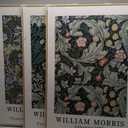 Large Framed William Morris Green Wall Art, 3 Piece Vintage Floral Canvas Prints, Retro Botanical Wall Decor for Living Room Bedroom Hallway Office, 24x36 Inch, 24"w X 36" H X 3pcs