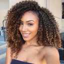 LADY MIRANDA Afro kinky Curly Crochet Hair Marlybob Braiding Hair Extensions for Black Women Jerry Curl Crochet Hair 6X Braid Hair Short Passion Twis Synthetic Extensions (Ombre Brown)