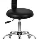 Antlu Rolling Stool with Back Support Tattoo Chair for Artist, Adjustable Esthetician Lash Chair for Dental Shop Sewing Nail Tech, Desk Shop Stools with Wheels, Without Foot Ring