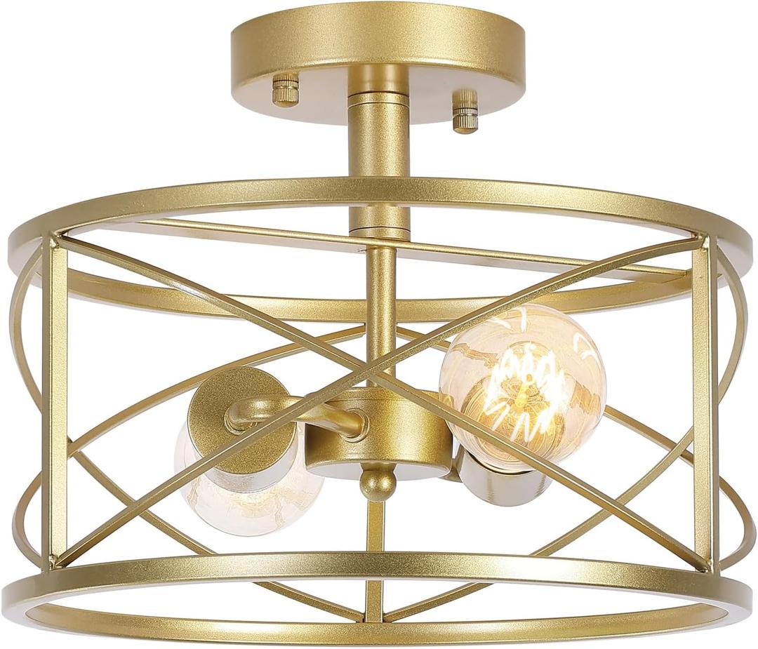 2-Light Semi Flush Mount Matte Gold Ceiling Light Fixture, Farmhouse Industrial Metal Cage with Adjustable Height, Dimmable for Hallway Entryway Kitchen Bedroom Foyer Laundry Low Ceiling
