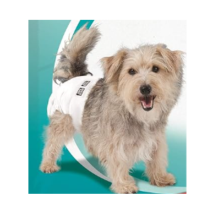 Simple Solution Disposable Dog Diapers, Female Dog Diapers, Puppy Potty Training, Incontinence and Heat Cycle Protection, Extra Small Diapers for Dogs, 914 Inch Waist, 30 Count