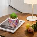 3D Puzzles Flower Pots,80-Piece Puzzles for Adults and Kids,Small,Cactus Decor,Succulent Planters Pots for Indoor,Plant Gifts for Plant Lovers