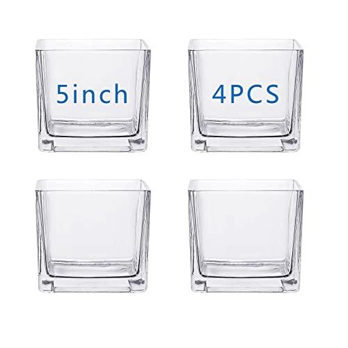 Square Glass Vases 5x5 Inch Clear Cube Flower Vase Pack of 2 for Wedding Centerpiece Candle Holder Home Decor Square Shape Flower Vase, Center Pieces