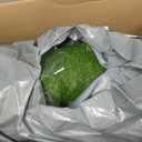 XLX TURF Extra Large Artificial Grass Pad for Dogs Potty - 5 FT X 8 FT Thickness & Pets Friendly Fake Turf Grass for Dog Kennel Outdoor Patio Balcony